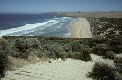 Habitat Parsons Beach (Australia)