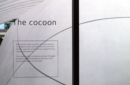 The Cocoon inside the Darwin Centre 2 as part of an exhibition about collections-based research at the Natural History Museum.